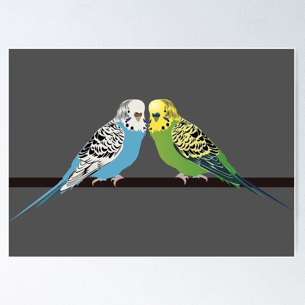 Budgies, Animal art, love, two birds bird artwork, bird pet Art Print by  SurenArt