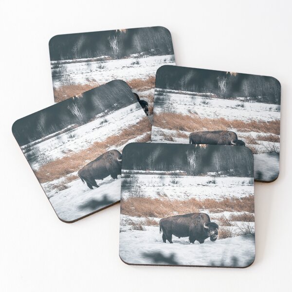 Item preview, POV: Hiding from the Bison designed and sold by JDWarren.