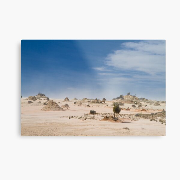 Mungo Lunettes Metal Print