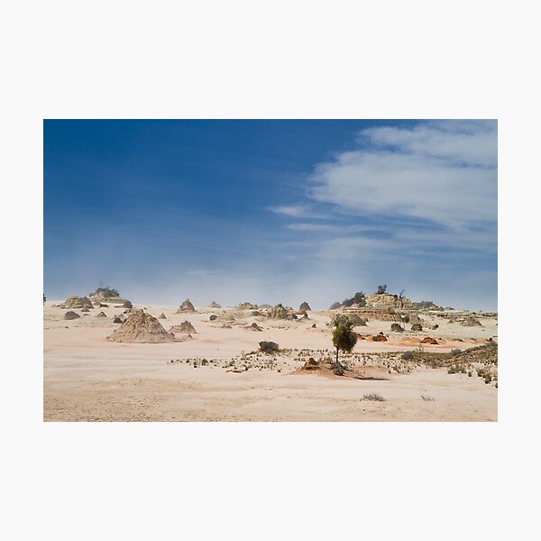 Mungo Lunettes Photographic Print