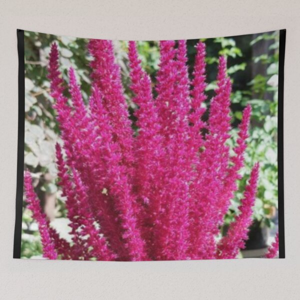 Item preview, Beautiful Plant designed and sold by doodle3Dandy.