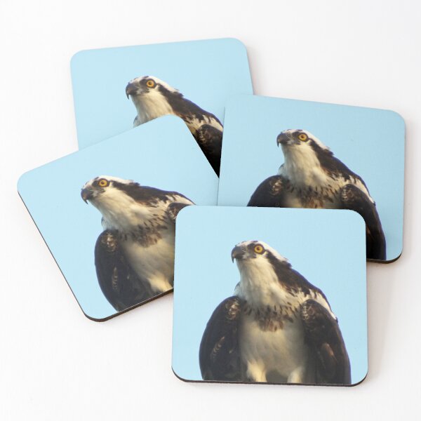 Item preview, Osprey Hunch designed and sold by Photosinic.