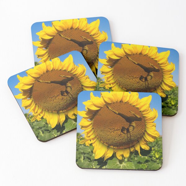 Item preview, The Yoga Sunflower designed and sold by PX-clothing.