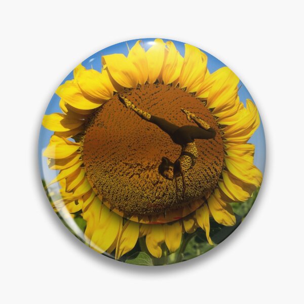 Item preview, The Yoga Sunflower designed and sold by PX-clothing.