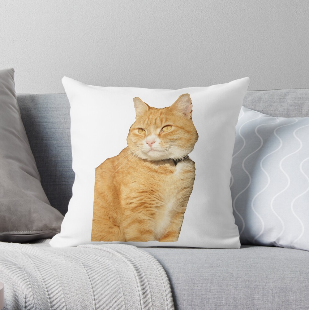 ginger cat pillow