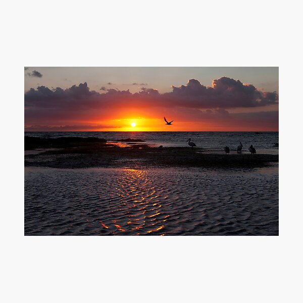 Sunset at Ricketts Point Photographic Print