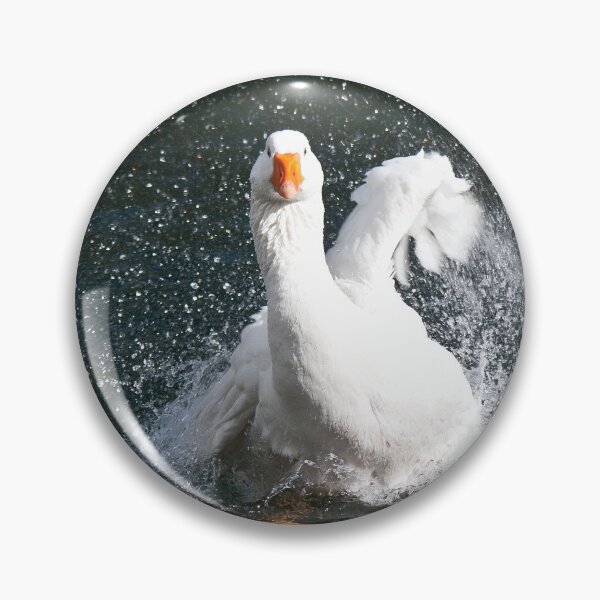 Item preview, In A Flap designed and sold by Maree Toogood.