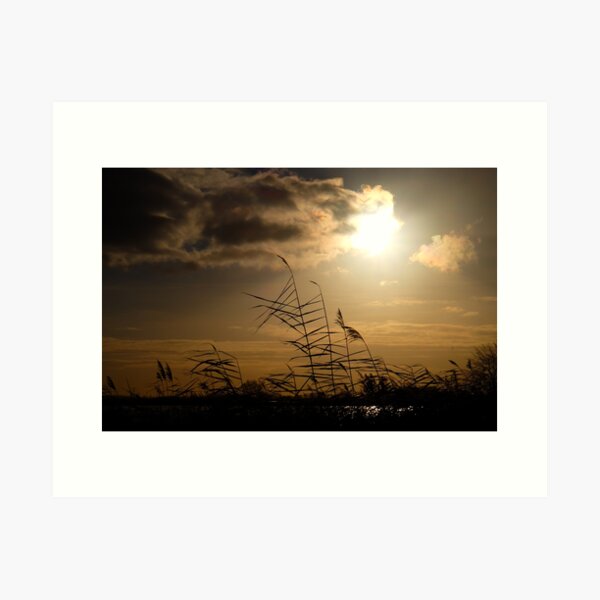 Orange morning sky Art Print