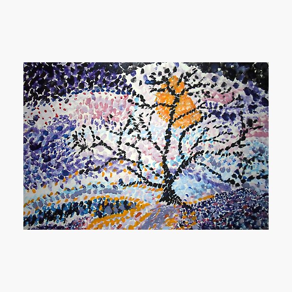 Moonlit Tree Photographic Print