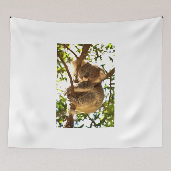 Item preview, Koala Joey Exploring designed and sold by GP1746.