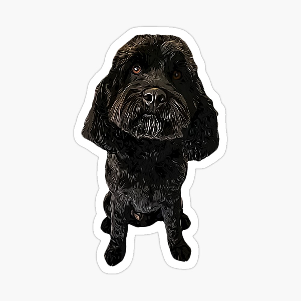 webkinz cockapoo