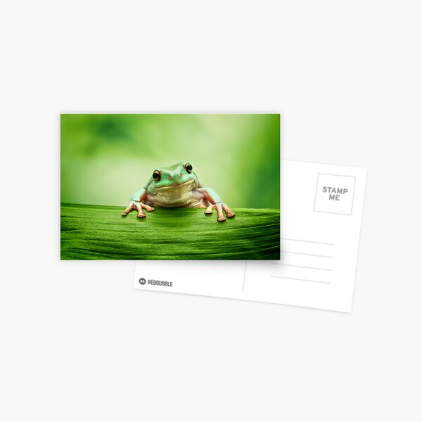 Item preview, White's Tree Frog (Litoria caerulea) designed and sold by Mark Kenwood.