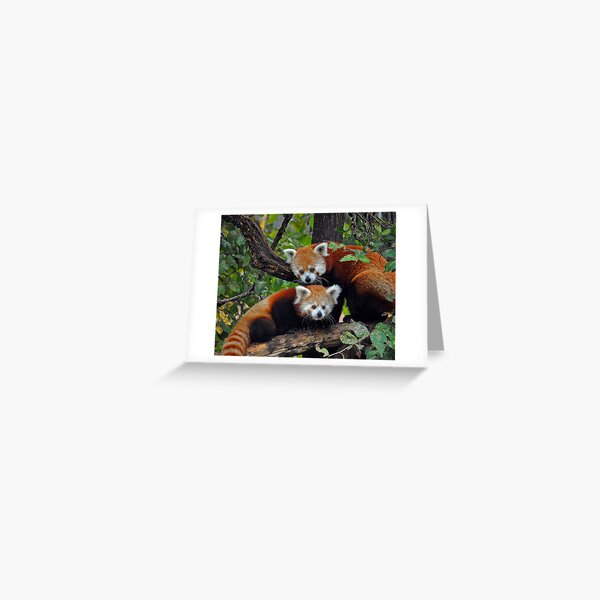 Mother and Daughter Greeting Card