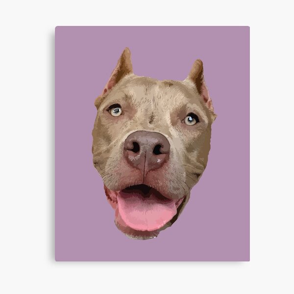 Art Mural Sur Le Theme Sourire Pitbull Redbubble