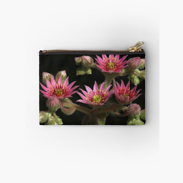 Item preview, Sempervivum Flower designed and sold by MaCross.