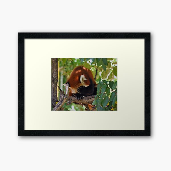 Facepalm Framed Art Print