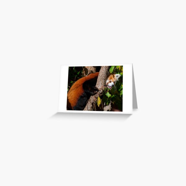 Interesting! Greeting Card
