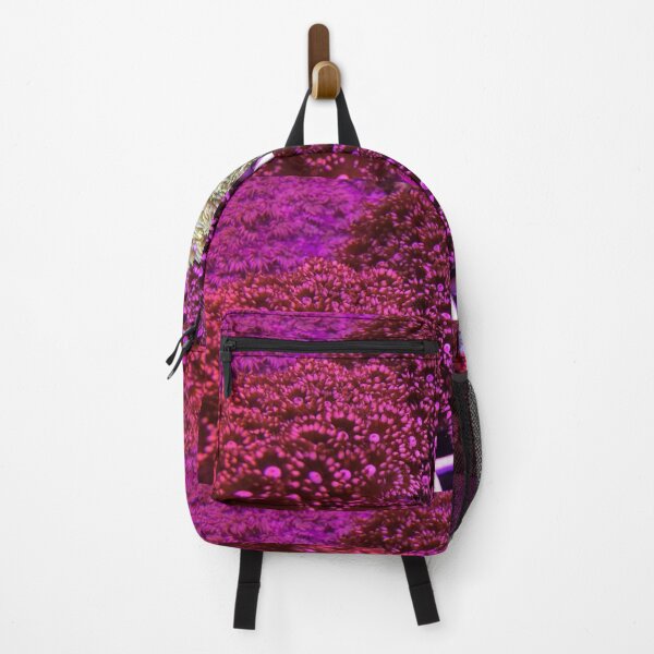 Item preview, Pink Goniopora Coral designed and sold by buzzmarshall.