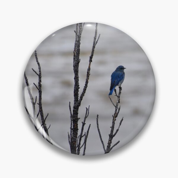Item preview, Bird on Tree in Yellowstone designed and sold by David Garry.