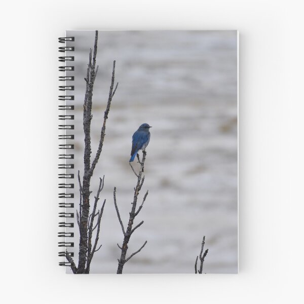 Item preview, Bird on Tree in Yellowstone designed and sold by David Garry.