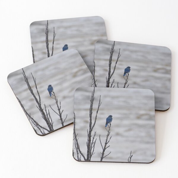 Item preview, Bird on Tree in Yellowstone designed and sold by David Garry.