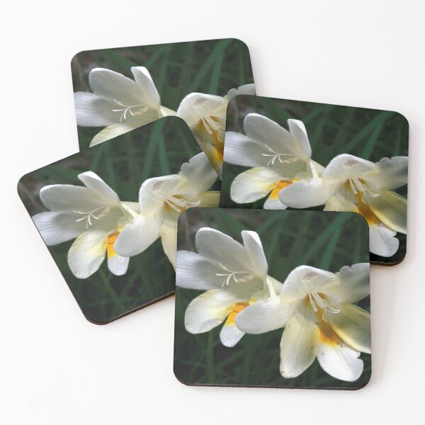 Item preview, Jonquils After The Rain designed and sold by GP1746.
