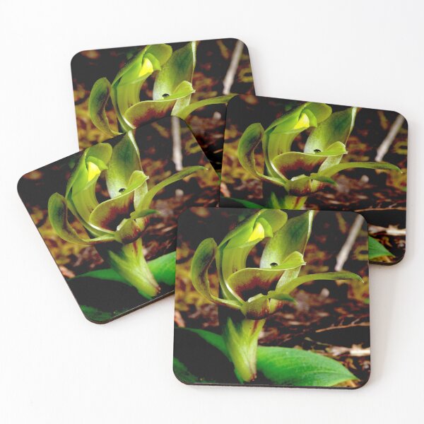 Item preview, Green Bird Orchid designed and sold by GP1746.