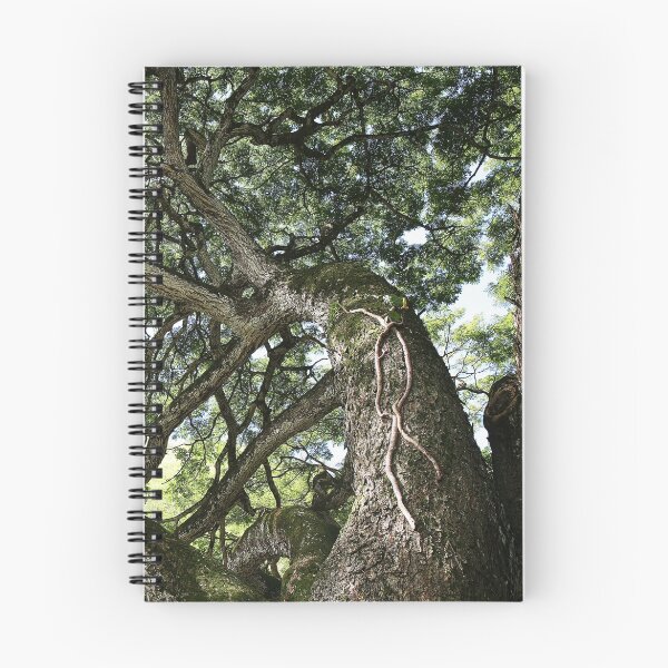 Item preview, Tree Canopy designed and sold by Rob Chiarolli.