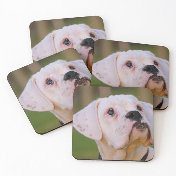 Item preview, Is That Treat Really For Me??? - Boxer Pup - NZ designed and sold by AndreaEL.
