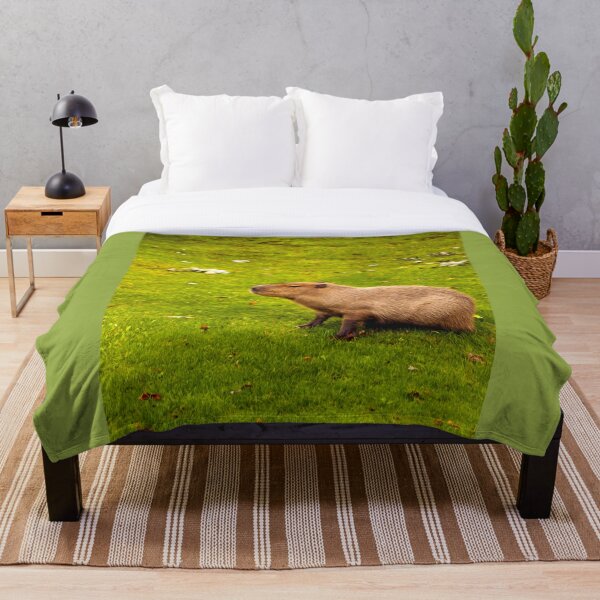 Aperçu de l'œuvre Capybara créée et vendue par Vac1.