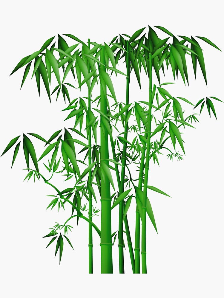 Bamboo Tree Images | Free Photos, PNG Stickers, Wallpapers & Backgrounds -  rawpixel