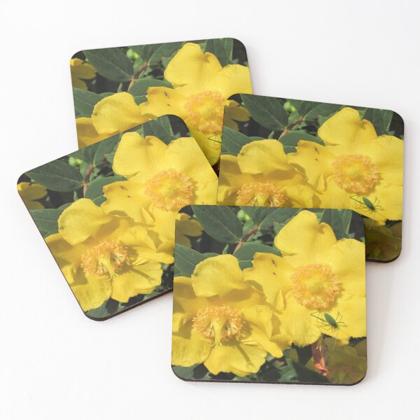 Item preview, Grasshopper on Yellow Hypericum Moserianum designed and sold by GoNatureDesigns.
