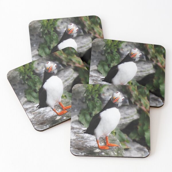 Item preview, An Inquisitive Puffin designed and sold by Alan Mackinnon.