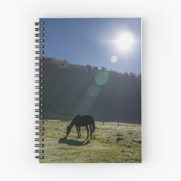 Item preview, Horse in the sunlight designed and sold by Tamas KLAUSZ.