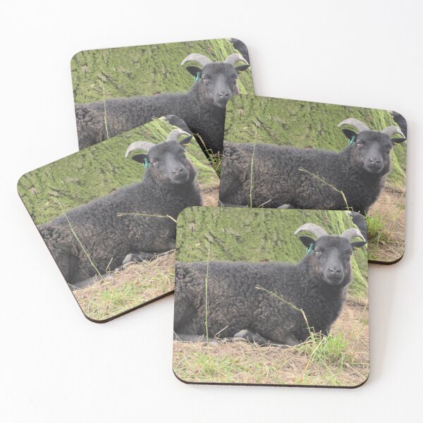Item preview, Hebridean Sheep at Croft Castle designed and sold by GoNatureDesigns.