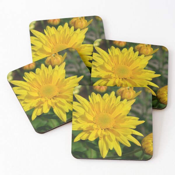 Item preview, Yellow Chrysanthemum designed and sold by MischiefMaven.