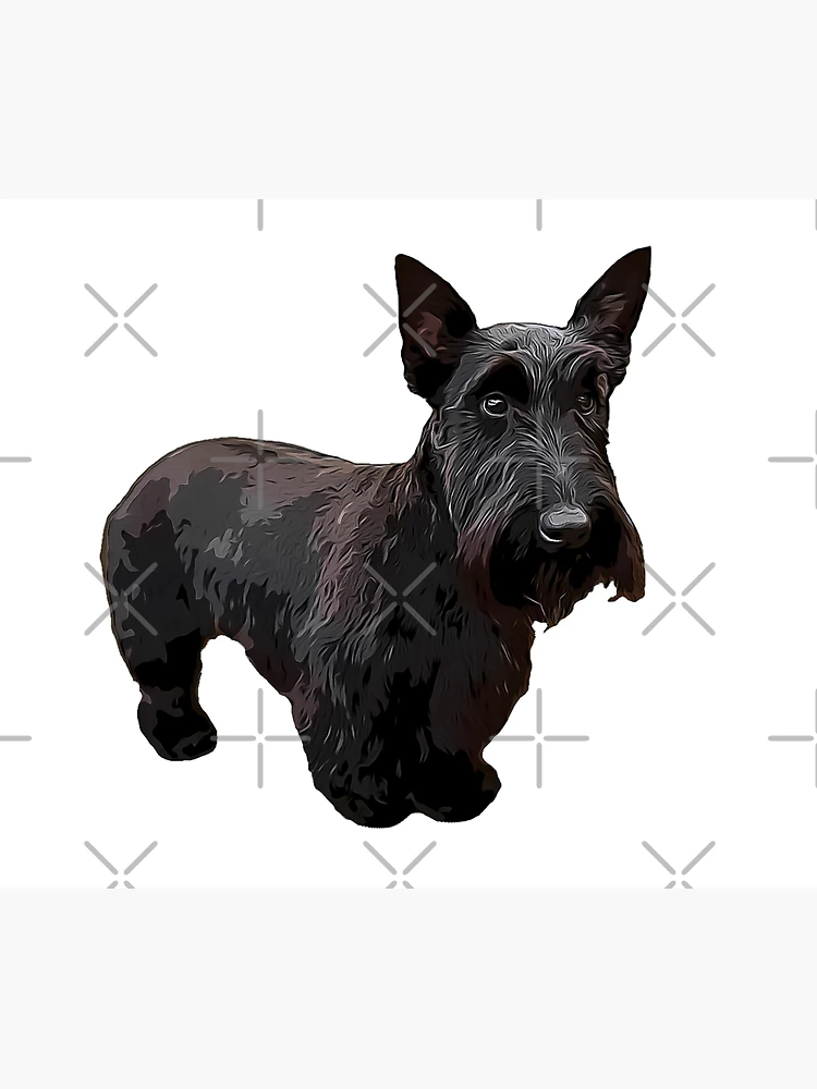 Cute Scottish Terrier Dog Icon on the App Store