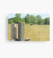 Sights of Summer Metal Print