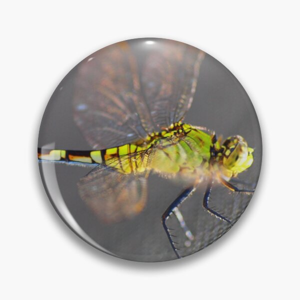 Item preview, Green Dragon designed and sold by MAPMedia.