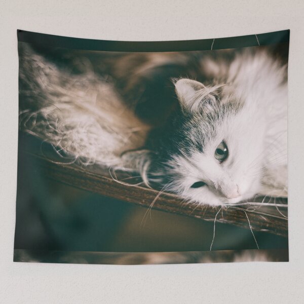 Item preview, Domestic norwegian animal cat portrait designed and sold by Claraveritas.