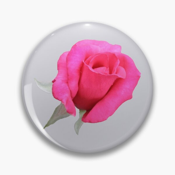 Item preview, Pink Rose designed and sold by STHogan.