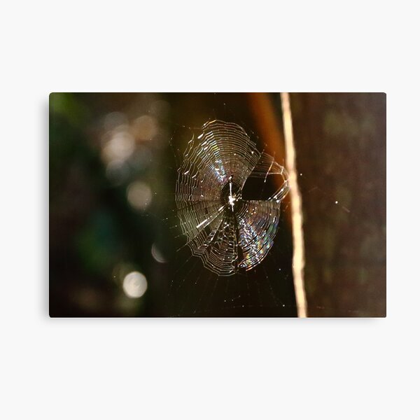 Item preview, Spider web in a rainforest designed and sold by NJH110.