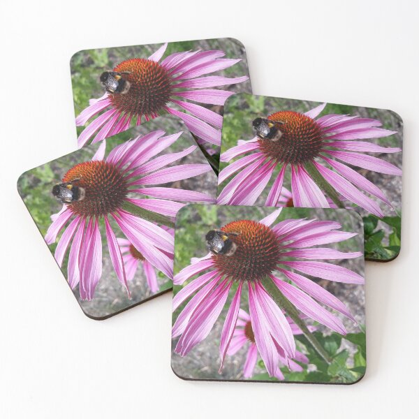 Item preview, Echinacea and bee designed and sold by Pickle-Mouse.