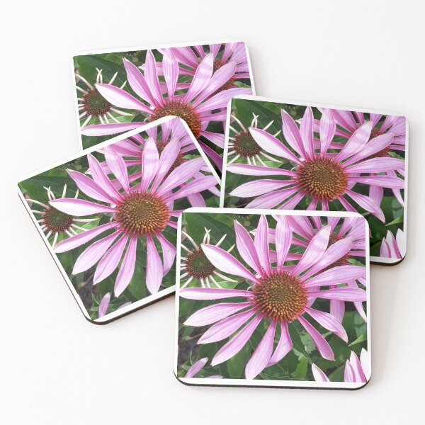 Item preview, Echinacea 2 designed and sold by Pickle-Mouse.