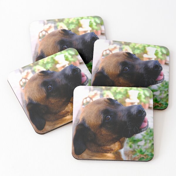 Item preview, Shiba. Portrait of a Mastiff designed and sold by Digby Merry.