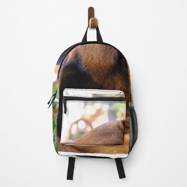 Item preview, Shiba. Portrait of a Mastiff designed and sold by Digby Merry.