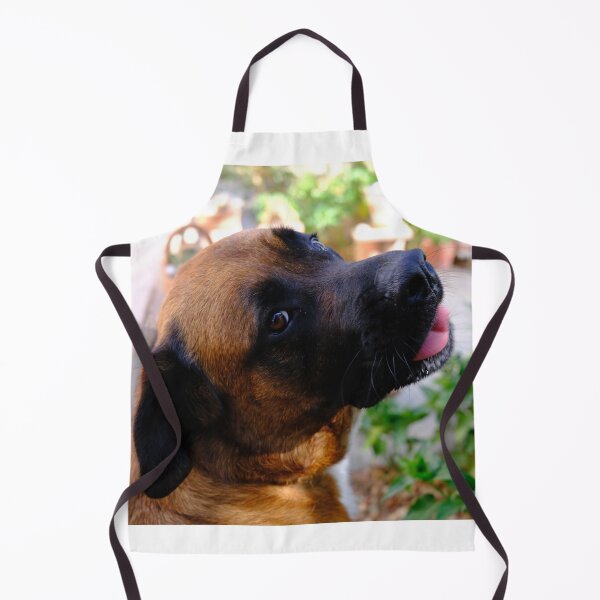 Item preview, Shiba. Portrait of a Mastiff designed and sold by Digby Merry.