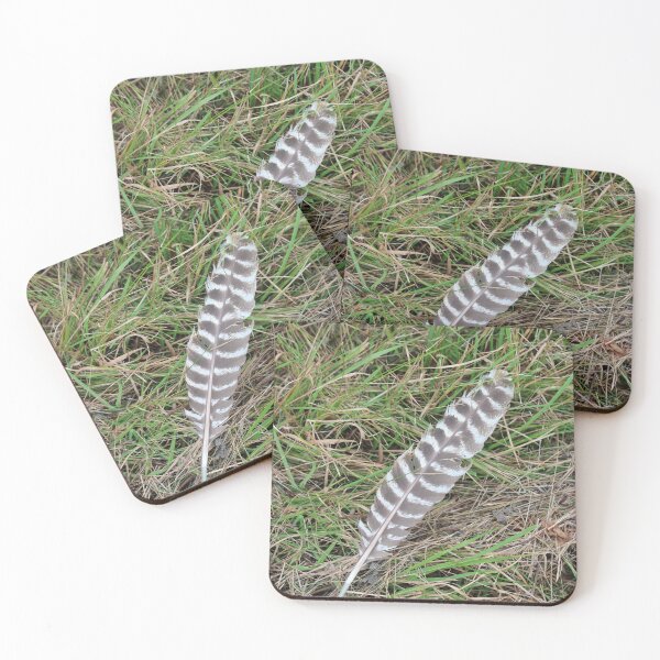 Item preview, Feather designed and sold by Susie Kramer.