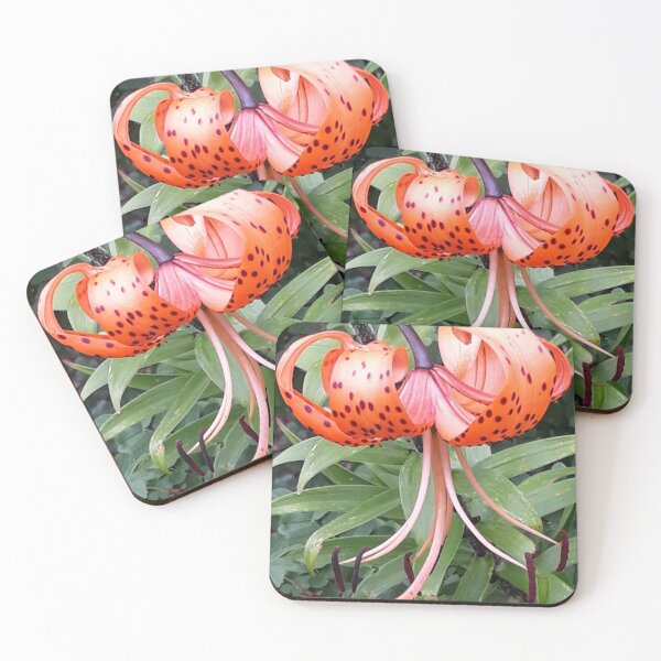 Item preview, Tiger lily designed and sold by Pickle-Mouse.