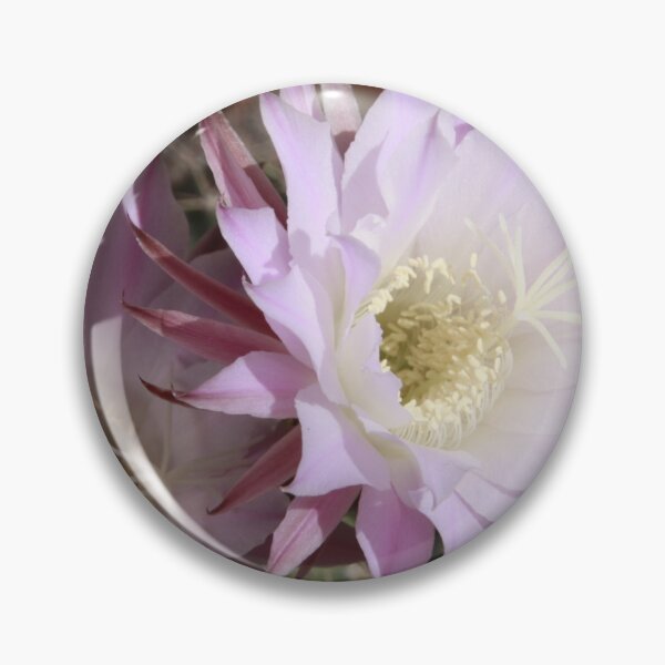 Item preview, Pink cactus designed and sold by Iran78.